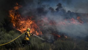 Doze meios aéreos combatem fogo na serra da Estrela