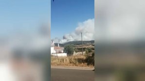 Bombeiro de Óbidos morre no combate às chamas nas Caldas da Rainha