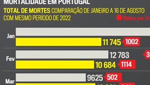 Portugal bate recorde de mortalidade