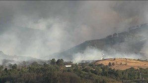 Quase 200 bombeiros e 12 meios aéreos combatem novo incêndio na serra da Estrela