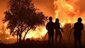 Sete em cada 10 portugueses criticam Governo pelos incêndios, revela sondagem
