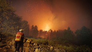 Época mais crítica de incêndios termina esta sexta-feira com quase 110 mil hectares queimados e quatro mortos