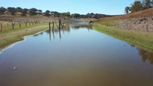"Gravidade da seca em Portugal é impressionante", salienta Especialista das Nações Unidas
