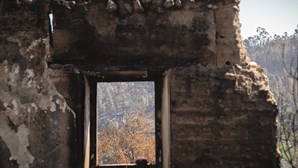 Vidas e anos de trabalho reduzidos a cinzas em Ourém
