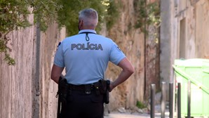 PSD, PCP, PAN, BE e Livre defendem aumento do subsídio de risco dos polícias