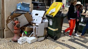 Carlos Moedas quer limpar lixo de Lisboa com ajuda das freguesias