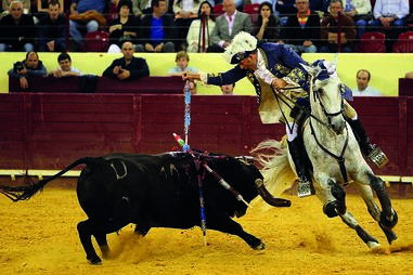 António Telles e Sónia Matias são dois dos cavaleiros que marcam presença nas corridas da Nazaré