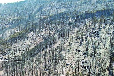 destruição, fogo, serra da estrela