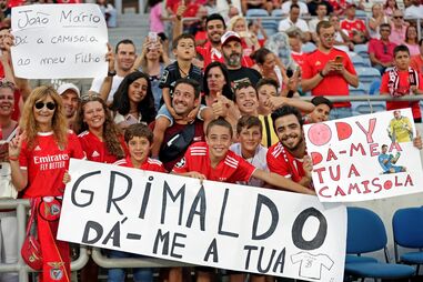 Adeptos, Benfica