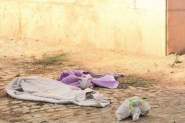 Facadas, sintra, gang