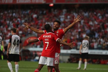 Jogo em Direto Benfica Midtjylland Champions - SL Benfica