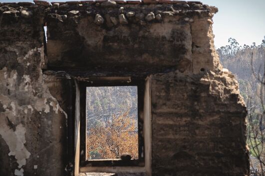 ourém, fogos, incêndios, rasto de destruição