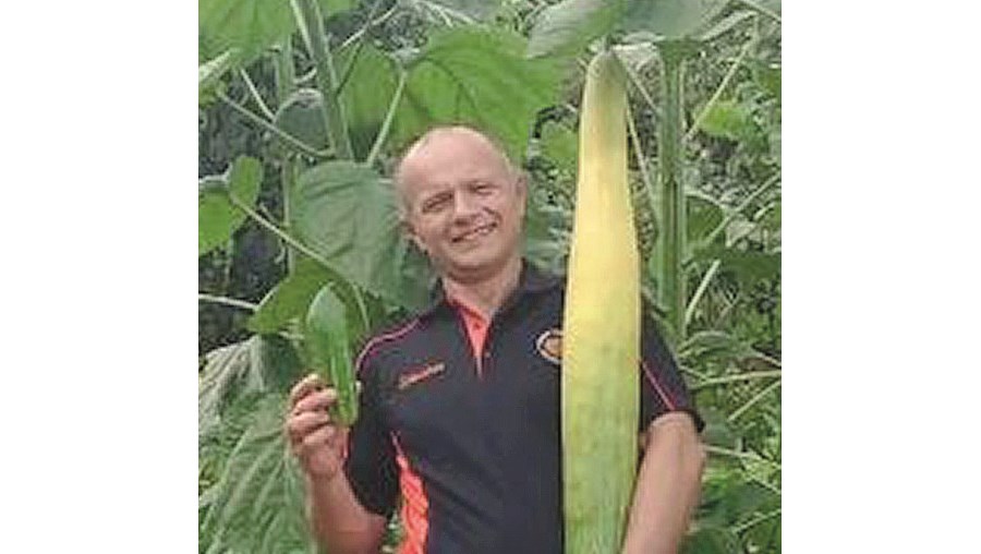 Homem conquista recorde mundial ao plantar o maior pepino do Mundo