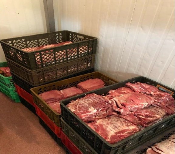 ASAE doa carne apreendida ao Zoo da Maia
