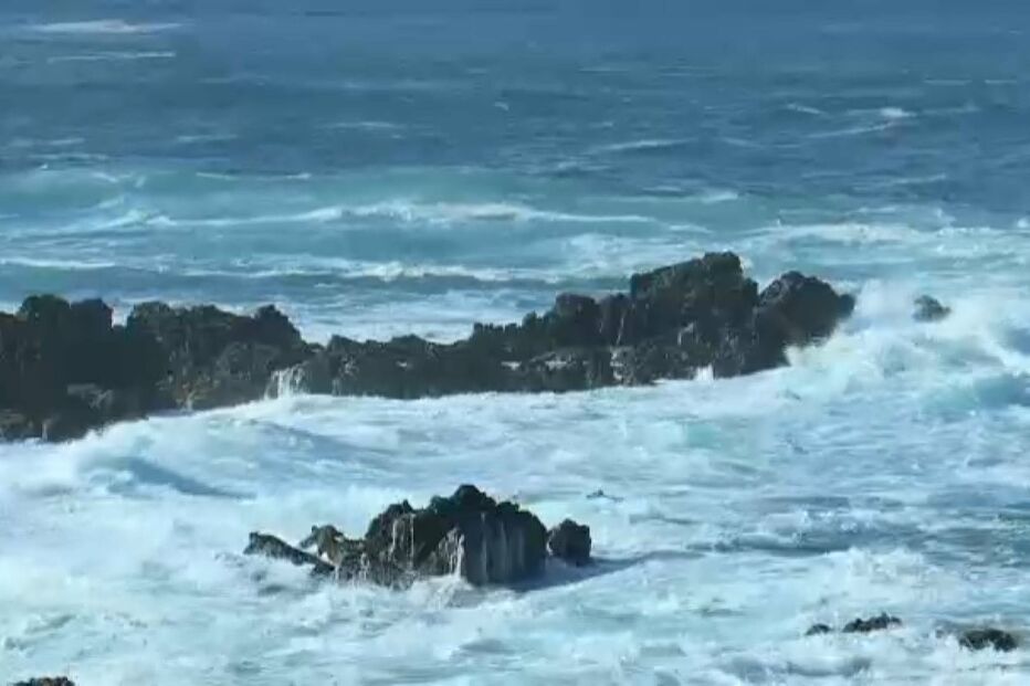 Orcas afundam veleiro ao largo de Sines