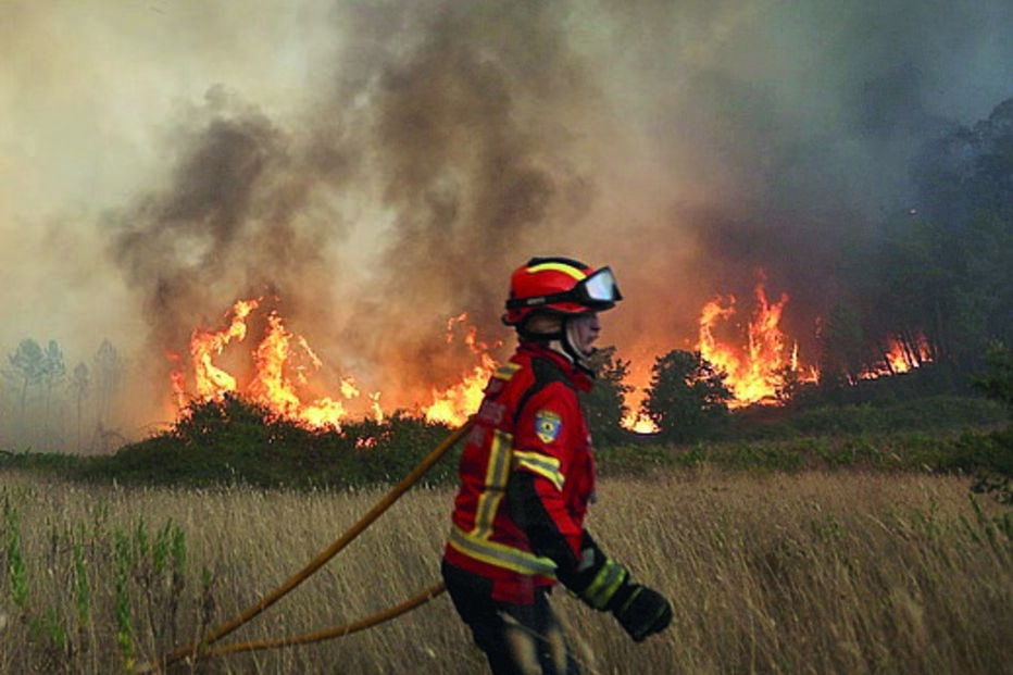 Cinco criminosos iniciaram fogos 