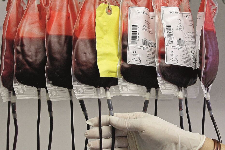 Diariamente são precisas mil unidades de componentes sanguíneos