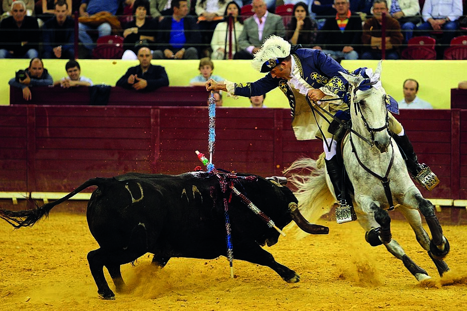 António Telles e Sónia Matias são dois dos cavaleiros que marcam presença nas corridas da Nazaré