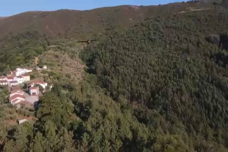 Incêndios, Investigação Sábado, Pedrógão Grande 