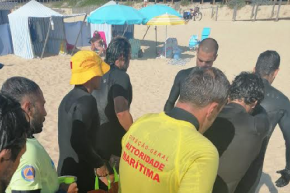 cachalote-pigmeu, praia do Aterro, Matosinhos