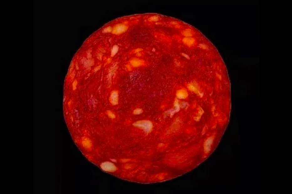 Imagem de uma rodela de chouriço partilhada pelo cientista