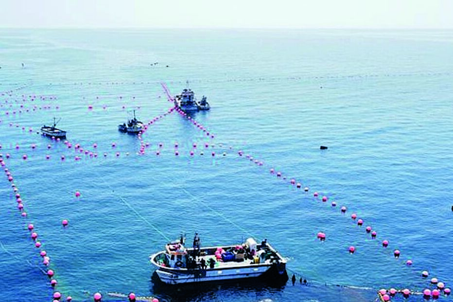 Armação de atum alvo de furtos 