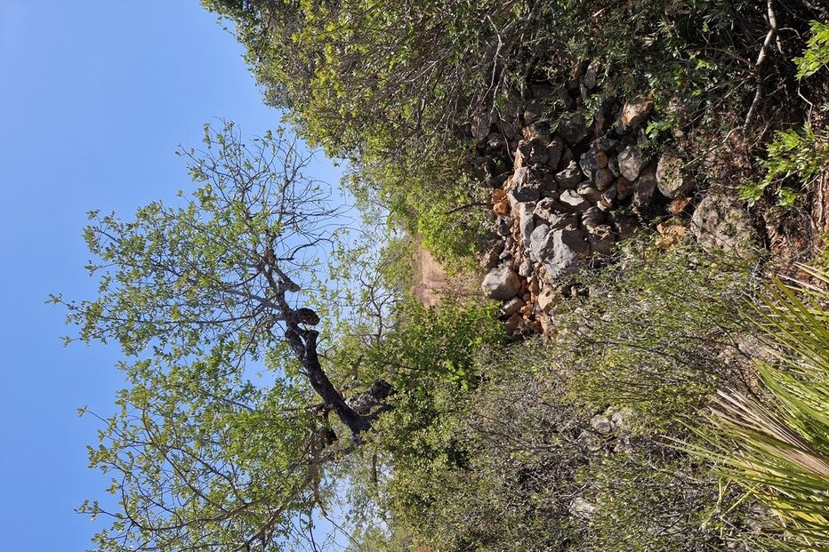Restos mortais foram encontrados dentro uma mala de viagem, num terreno agrícola isolado em São Lourenço, no interior de um muro de pedra