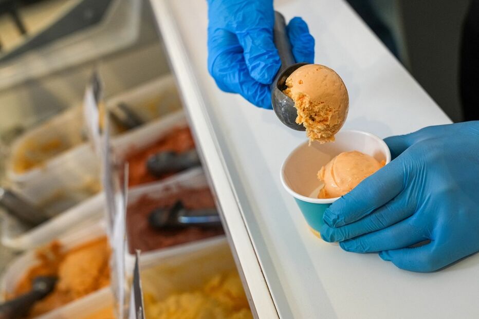 gelados, produtos alimentares, alerta europeu