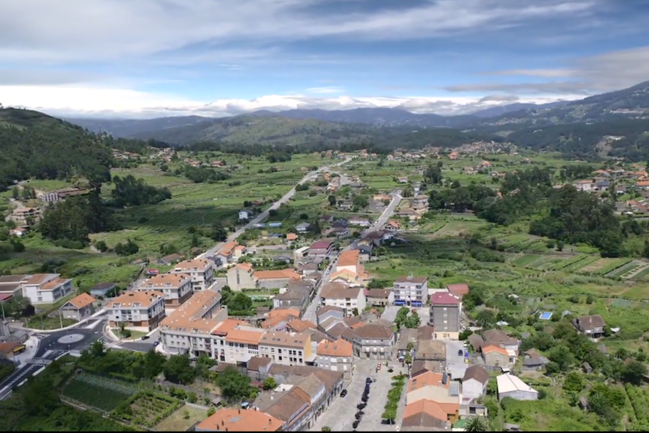 2022-08-11_13_30_58 Arbo_03.png