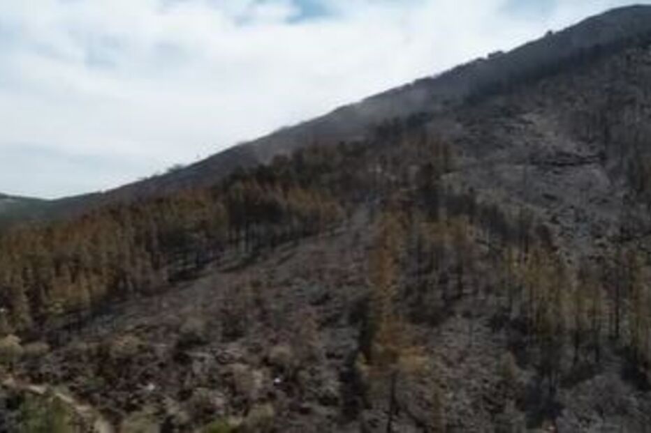 serra da estrela, destruição, incêndio