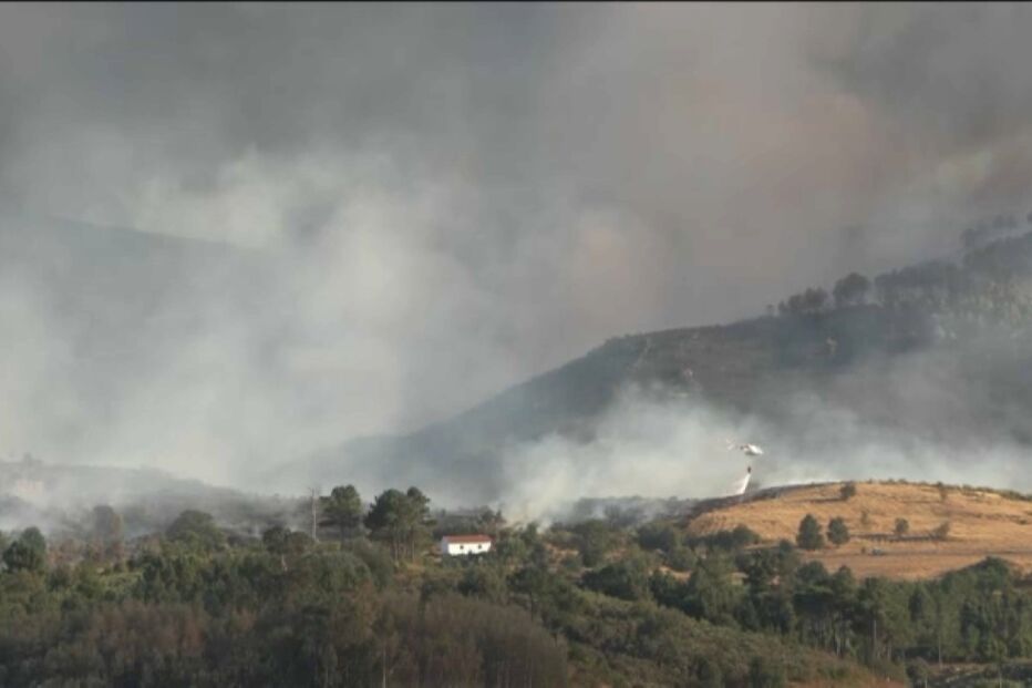 Incêndio, Gouveia, Serra da Estrela
