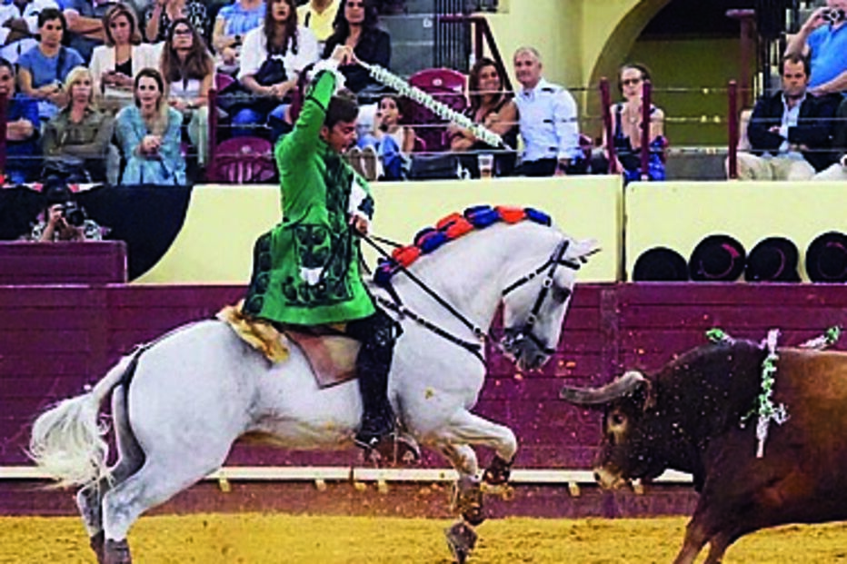 Francisco Palha brilhou na lide a cavalo 
