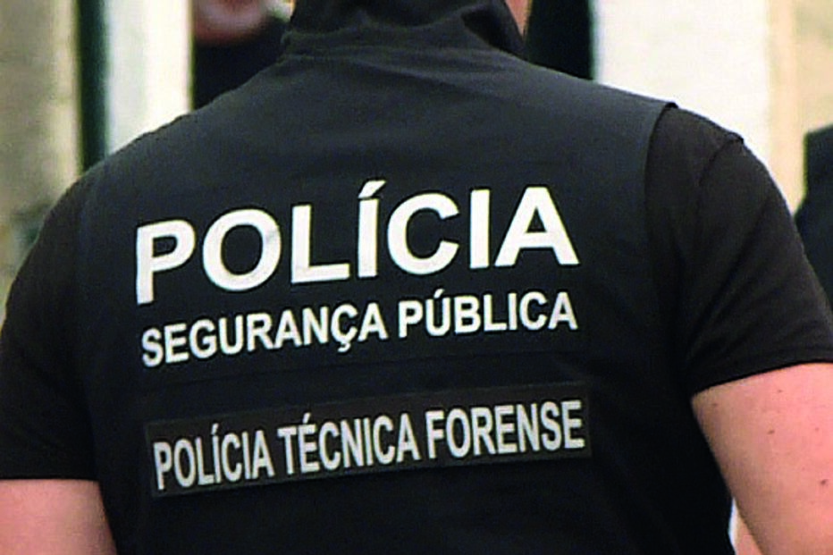 Polícia, Polícia Segurança Pública