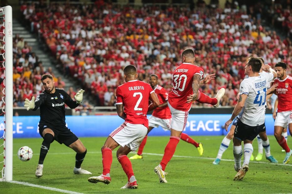 benfica, dínamo Kiev, desporto, futebol