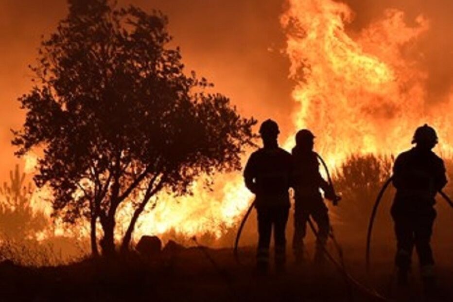 Incêndio Serra da Estrela. 