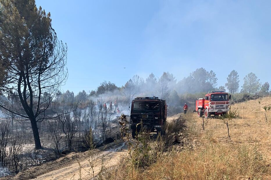 2022-08-25_12_09_28 WhatsApp Image 2022-08-25 at 12.04.03 (1).jpg