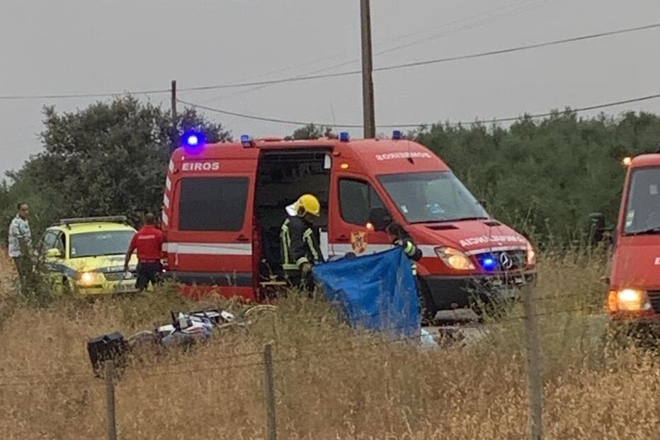 Acidente com javali em Évora.