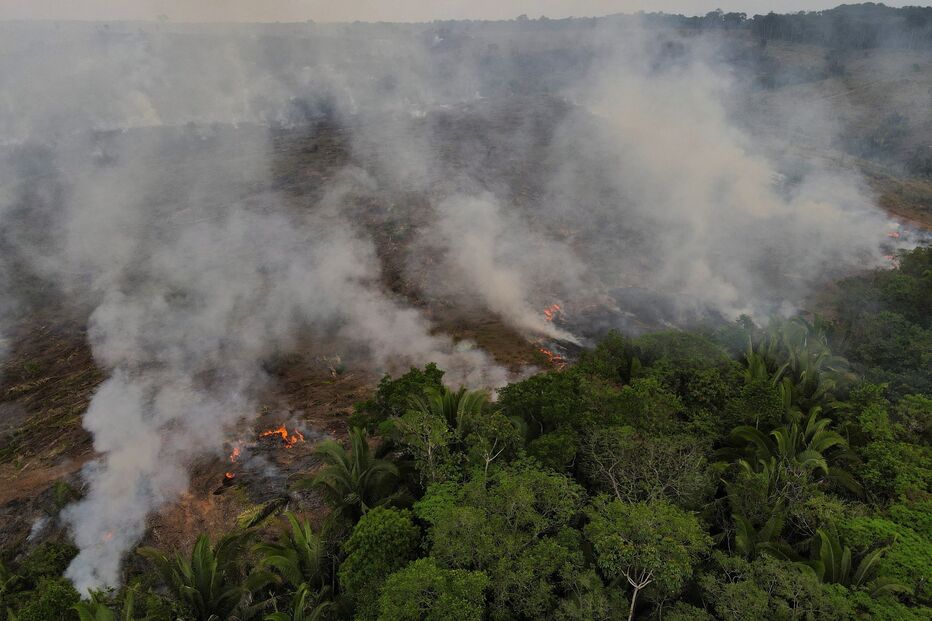 Incêndios, Amazónia