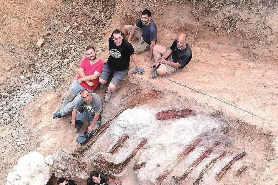 Fóssil descoberto em Pombal