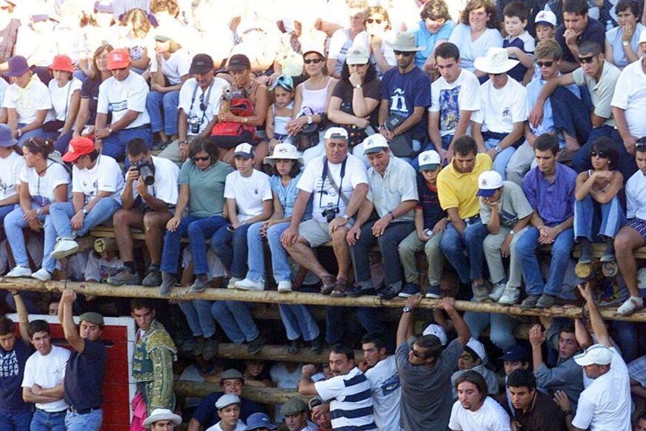 festas, tourada, barrancos