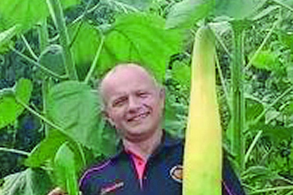 recorde mundial, vegetal, maior pepino do Mundo