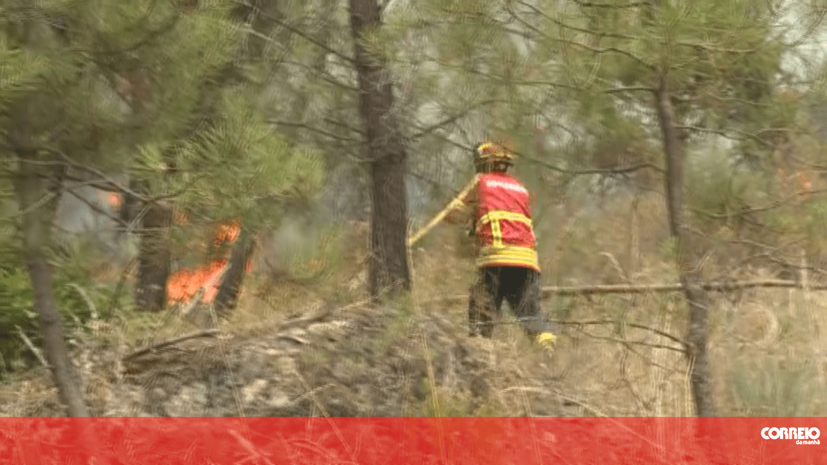 Bombeiro de Gouveia provoca sete fogos em várias localidades do concelho