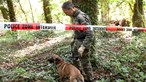 Descobertos dois corpos desmembrados em apenas dois dias em Meurthe-et-Moselle, em França