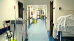 Seis crianças morrem devido a infeção bacteriana no Reino Unido