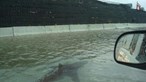Furacão Ian arrasta tubarão para as ruas da Flórida