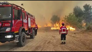 Guarda contabiliza prejuízos de 8 milhões de euros em infraestruturas municipais devido aos incêndios