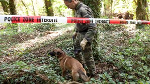 Descobertos dois corpos desmembrados em apenas dois dias em Meurthe-et-Moselle, em França