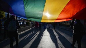 Solidão relacional e redes de apoio frágeis afetam pessoas LGBTQ idosas, aponta estudo português