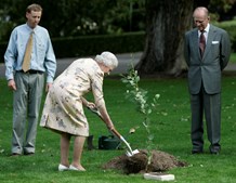 Rainha Isabell II planta uma árvore  nos terrenos da Casa do Governo em Camberra