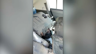 WhatsApp Video 2022-07-27 at 19.25.21.mp4